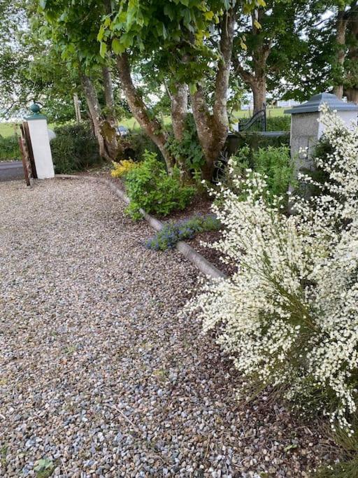 Breathnach Cottage Annex Knockleagha Ballina F26 D7E2 外观 照片