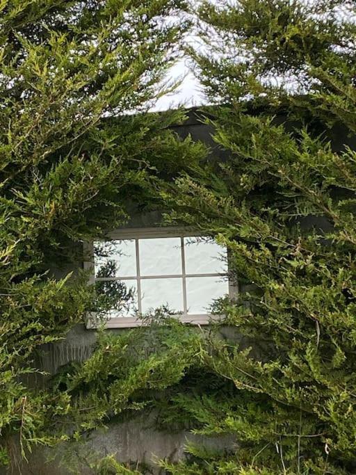 Breathnach Cottage Annex Knockleagha Ballina F26 D7E2 外观 照片